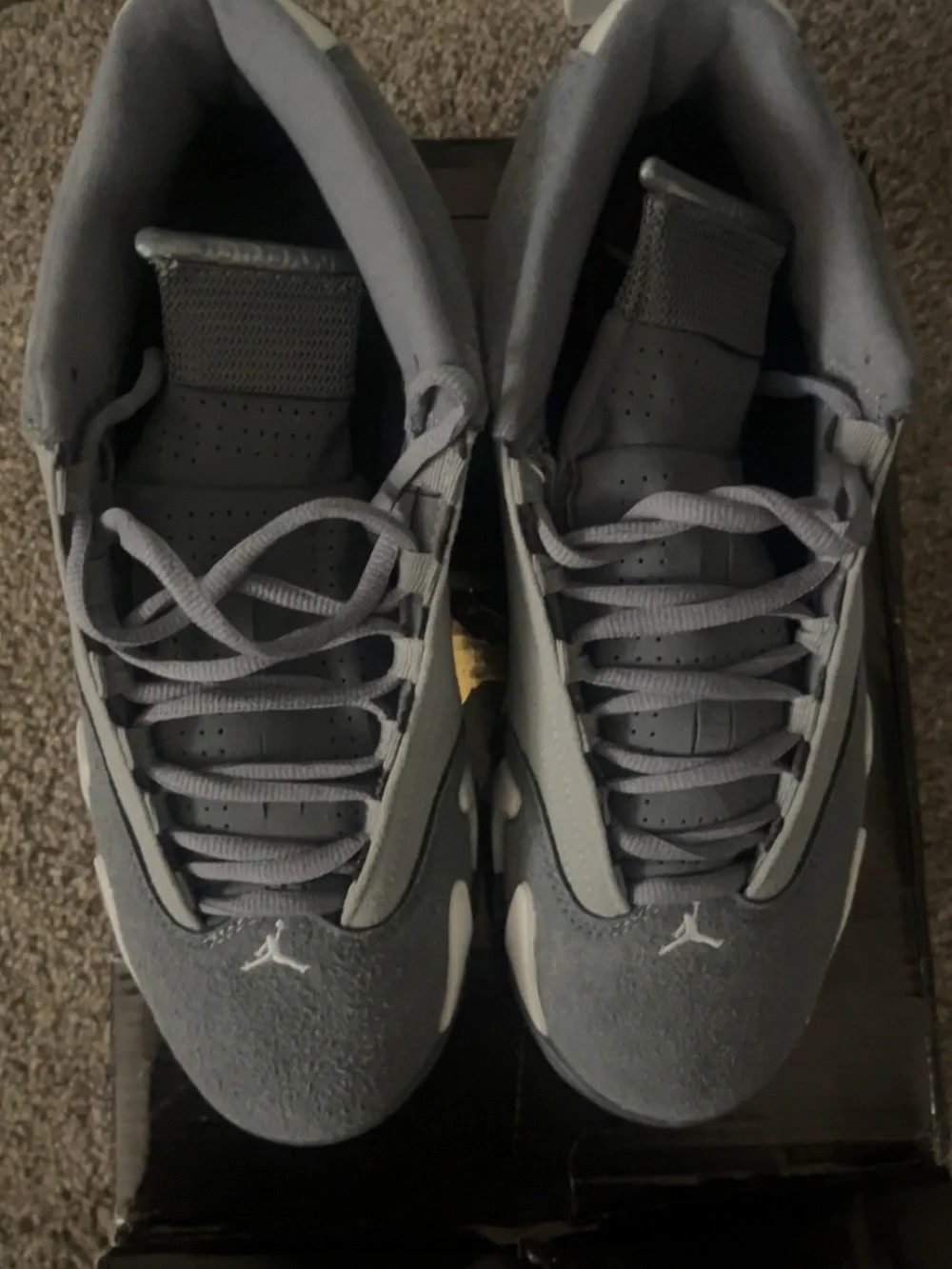 Jordan Men’s Low-Top Sneakers in Gray